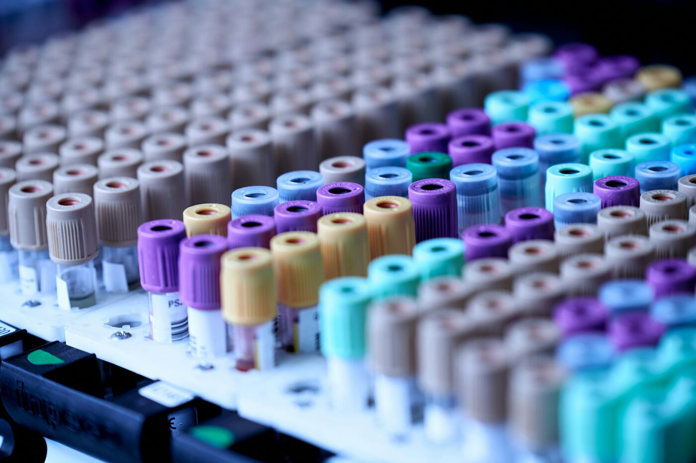 Rows of labeled laboratory sample tubes